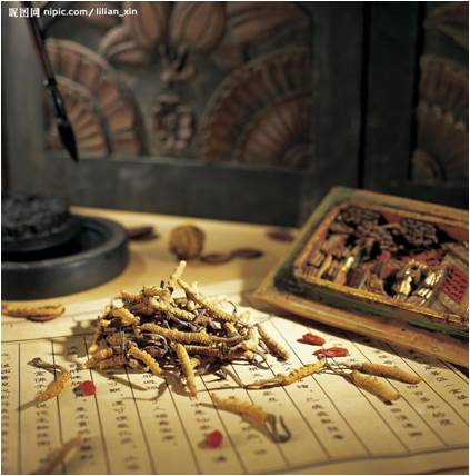 醫(yī)藥行業(yè)：十二五期間中國將支持構建中藥材三大支持體系