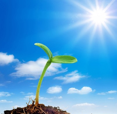 員工心態(tài)培訓(xùn)重在循序漸進(jìn)