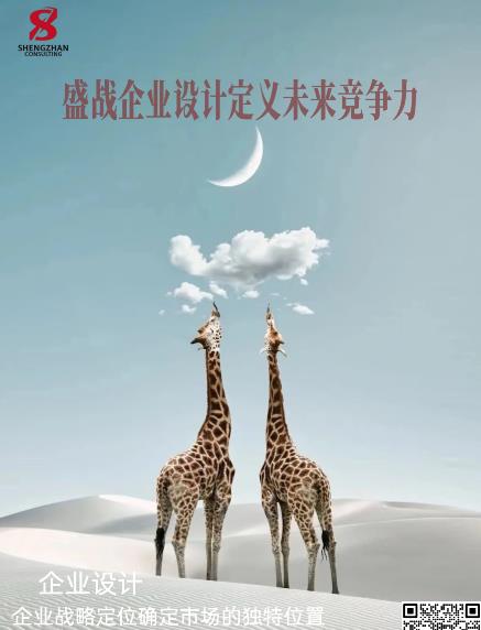 企業(yè)設(shè)計：企業(yè)戰(zhàn)略定位是確定市場的獨特位置